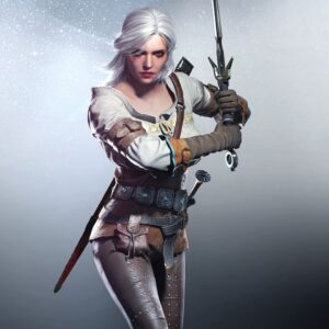 Legacy of the Witcher